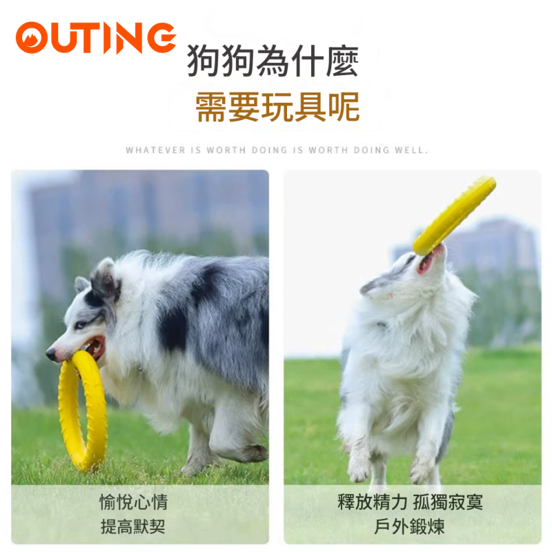 狗狗訓練圓環 | 耐咬 易清洗 | 寵物玩具 — 產品詳圖